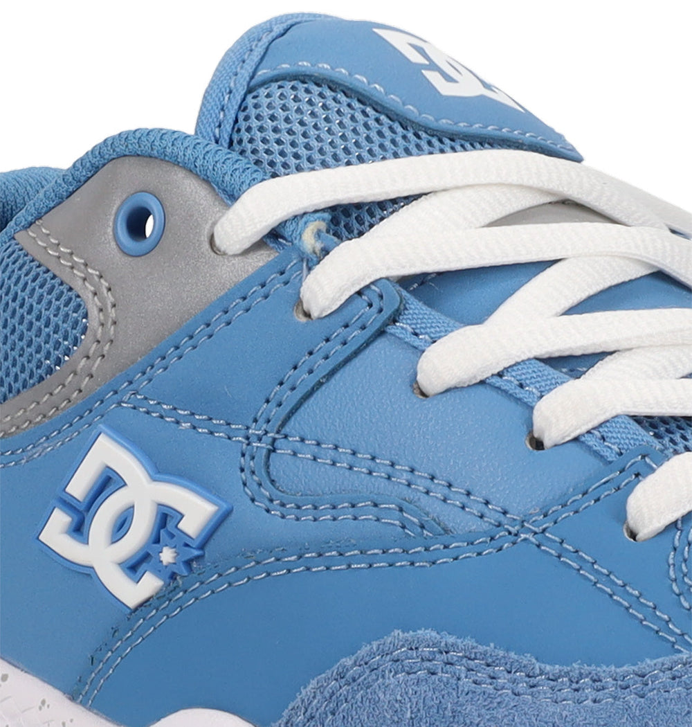 Ascend S Skate Shoes - Carolina Blue | DC Shoes